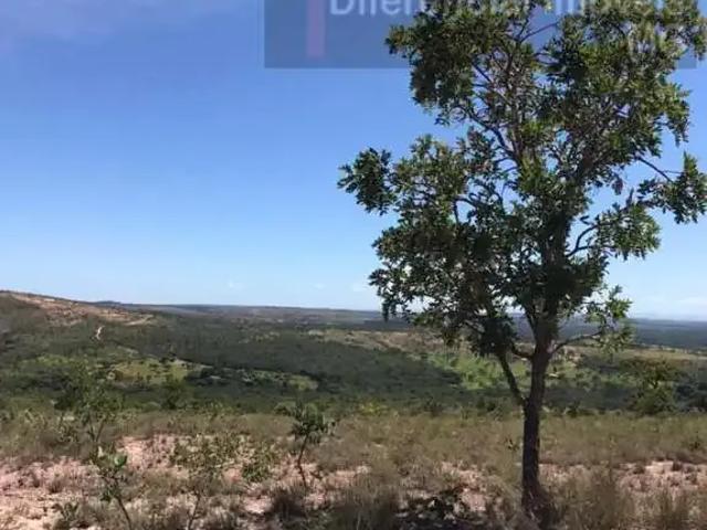 Sítio e chácara venda em Cordisburgo, Região Geográfica Intermediária de Belo Horizonte