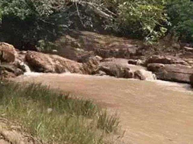 Sítio e chácara venda em Região Geográfica Imediata de Campo Grande, Corguinho