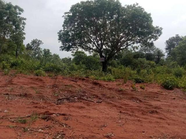 Sítio e chácara venda em Região Geográfica Imediata de Campo Grande, Corguinho