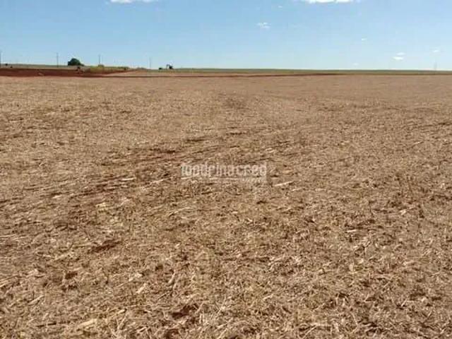 Sítio e chácara venda em Região Geográfica Imediata de Cornélio Procópio-Bandeirantes, Cornélio Procópio