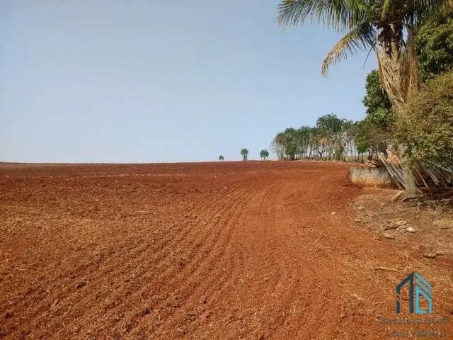Sítio e chácara venda em Vila América, Cornélio Procópio
