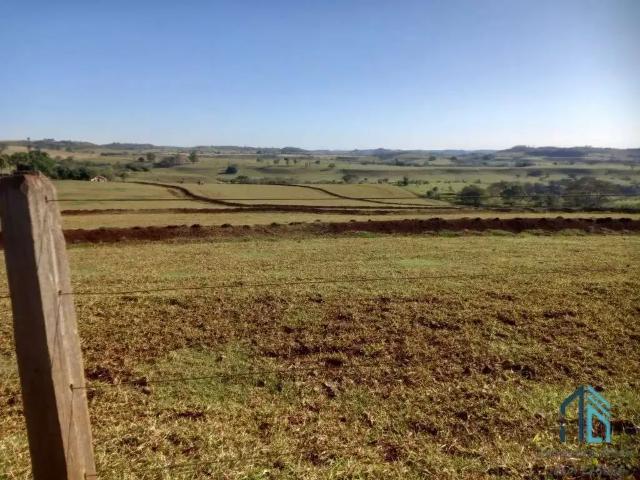 Sítio e chácara venda em Região Geográfica Imediata de Cornélio Procópio-Bandeirantes, Cornélio Procópio