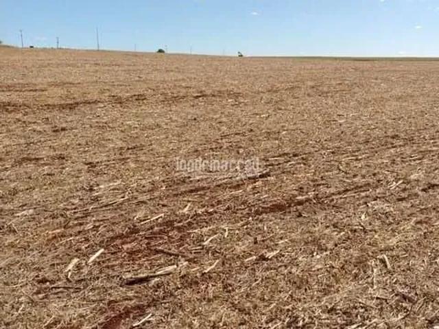 Sítio e chácara venda em Região Geográfica Imediata de Cornélio Procópio-Bandeirantes, Cornélio Procópio