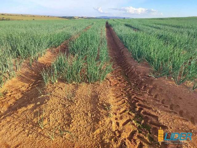 Sítio e chácara venda em Região Geográfica Imediata de Patrocínio, Coromandel