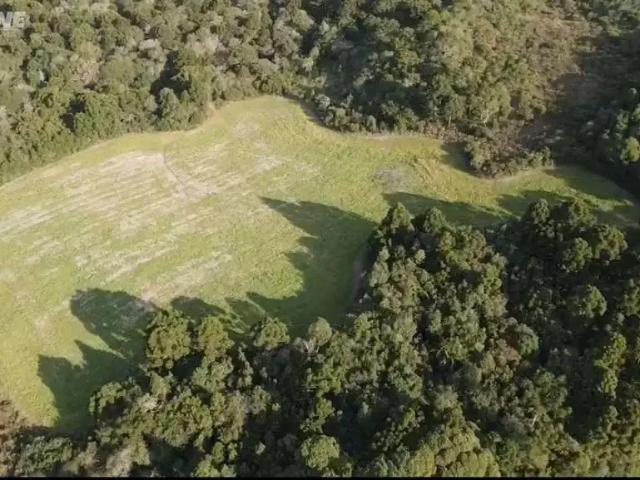 Sítio e chácara venda em Coronel Domingos Soares, Região Geográfica Intermediária de Cascavel
