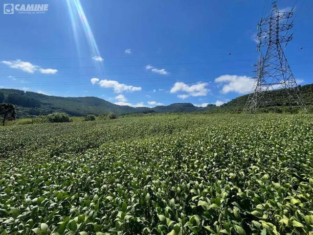 Sítio e chácara venda em Região Geográfica Imediata de Pato Branco, Coronel Domingos Soares