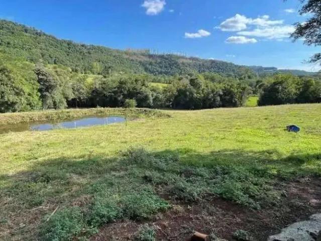 Sítio e chácara venda em Região Geográfica Imediata de Chapecó, Coronel Freitas