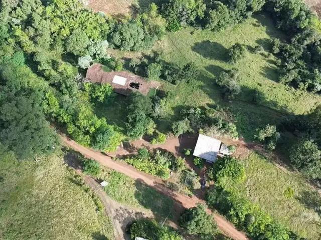 Sítio e chácara venda em Região Geográfica Imediata de Chapecó, Coronel Freitas