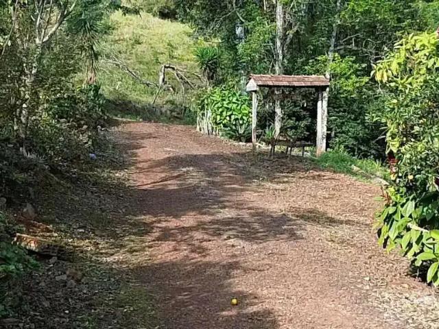 Sítio e chácara venda em Região Geográfica Imediata de Chapecó, Coronel Freitas