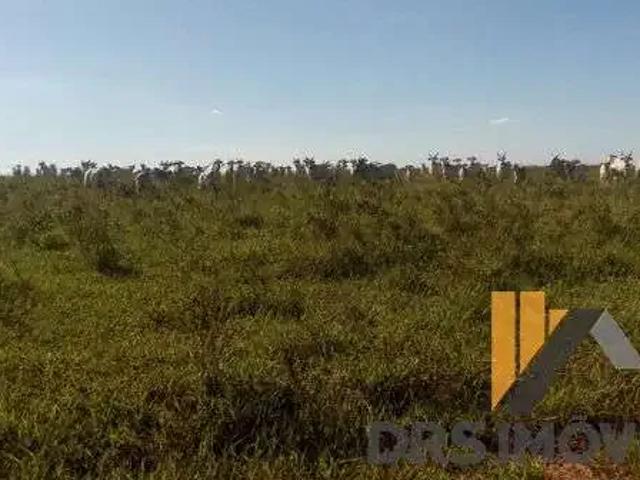 Sítio e chácara venda em Coronel Sapucaia, Mato Grosso do Sul