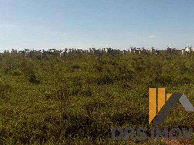 Sítio e chácara venda em Coronel Sapucaia, Região Geográfica Intermediária de Dourados