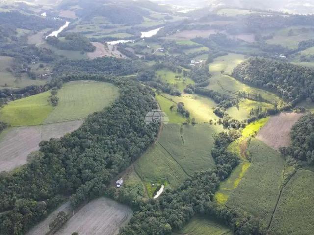 Sítio e chácara venda em Região Geográfica Imediata de Pato Branco, Coronel Vivida