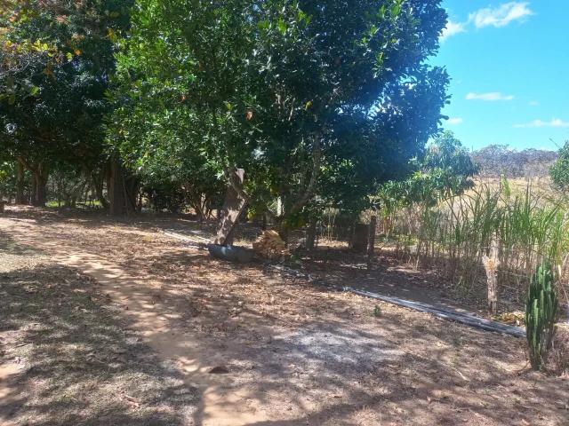 Sítio e chácara venda em Região Geográfica Imediata de Anápolis, Região Integrada de Desenvolvimento do Distrito Federal e Entorno