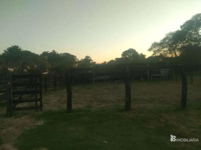 Sítio e chácara venda em Região Geográfica Imediata de Corumbá, Corumba