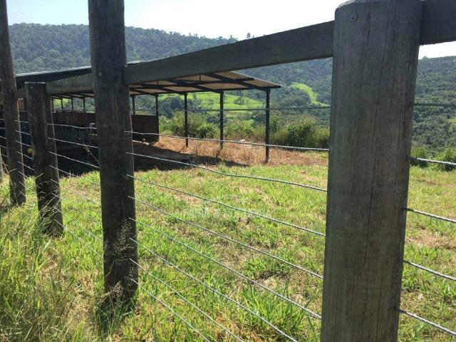 Sítio e chácara venda em Corumbataí