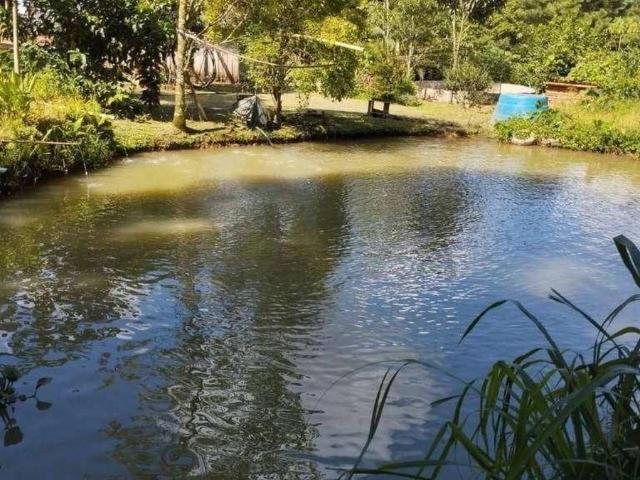 Sítio e chácara venda em Corupá, Região Geográfica Intermediária de Joinville