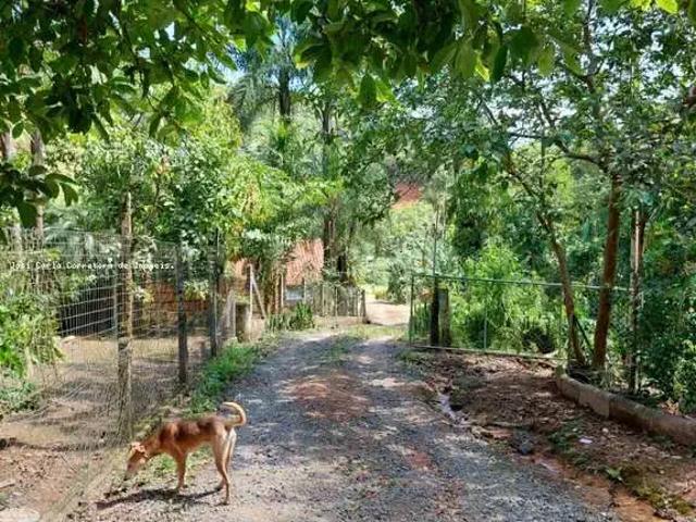 Sítio e chácara venda em Região Geográfica Imediata de Joinville, Corupá