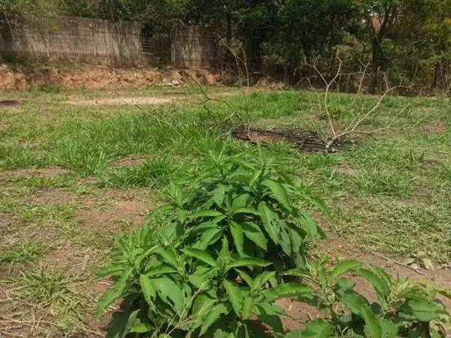 Sítio e chácara venda em Região Imediata de Campinas, Região Metropolitana de Campinas
