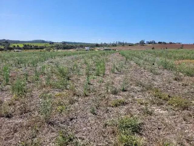 Sítio e chácara venda em Região Imediata de Campinas, Região Metropolitana de Campinas