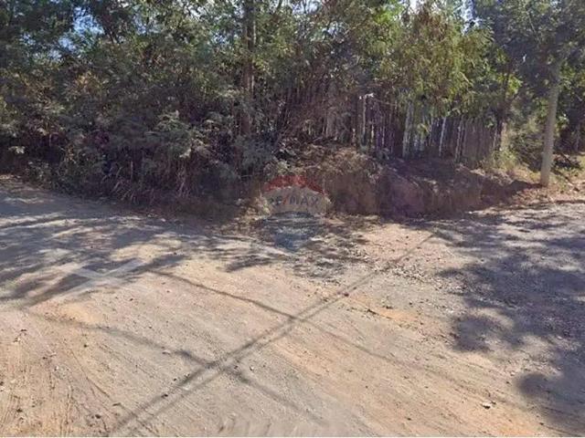 Sítio e chácara venda em Região Imediata de Campinas, Região Metropolitana de Campinas