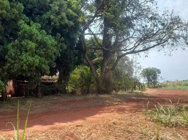 Sítio e chácara venda em Região Imediata de Campinas, Região Metropolitana de Campinas