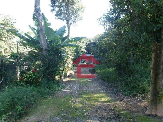 Sítio e chácara venda em Cotia