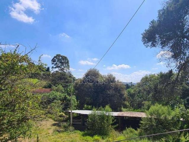 Sítio e chácara venda em Chácara Vista Alegre, Cotia