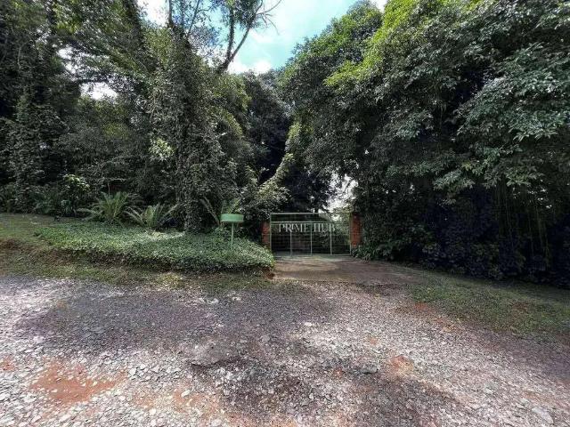 Sítio e chácara venda em Tijuco Preto, Cotia