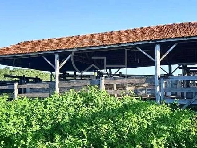 Sítio e chácara venda em Coxim, Região Geográfica Intermediária de Campo Grande