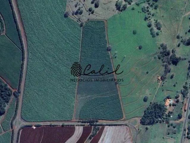 Sítio e chácara venda em Região Imediata de Ribeirão Preto, Região Metropolitana de Ribeirão Preto