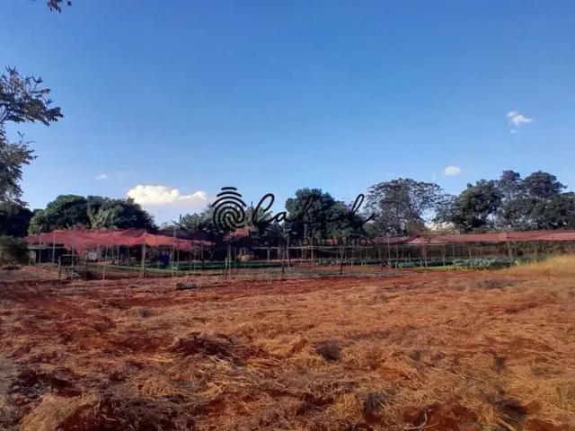 Sítio e chácara venda em Região Imediata de Ribeirão Preto, Região Metropolitana de Ribeirão Preto
