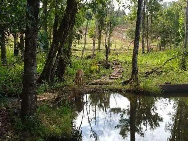 Sítio e chácara venda em Região Imediata de Ribeirão Preto, Região Metropolitana de Ribeirão Preto