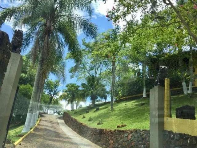 Sítio e chácara venda em Região Geográfica Imediata de Criciúma, Criciúma