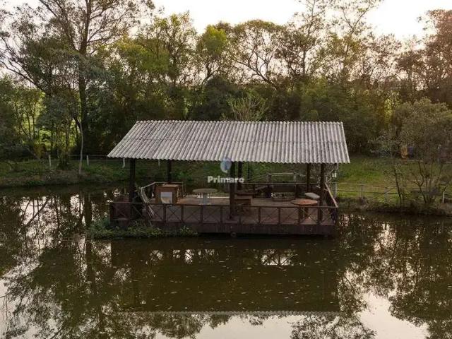 Sítio e chácara venda em Região Geográfica Imediata de Criciúma, Criciúma