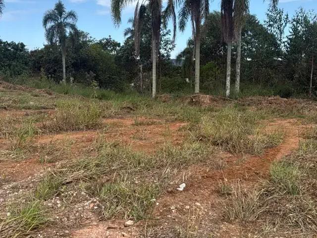 Sítio e chácara venda em Região Geográfica Imediata de Criciúma, Criciúma