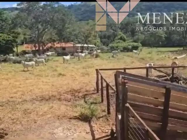 Sítio e chácara venda em Região Imediata de Franca, Cristais Paulista