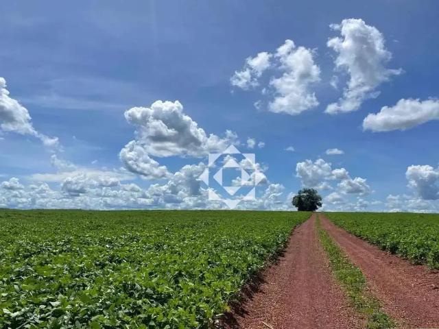 Sítio e chácara venda em Região Geográfica Imediata de Paraíso do Tocantins, Cristalândia