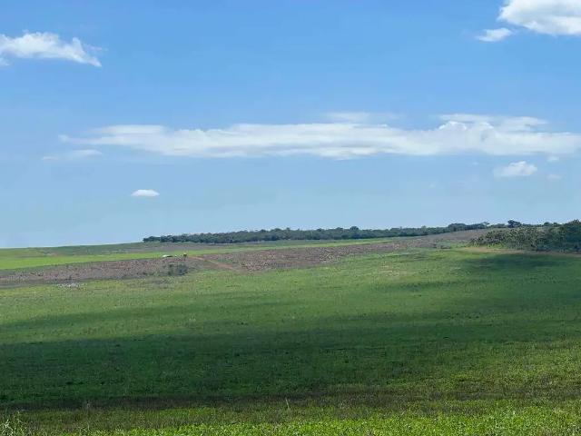 Sítio e chácara venda em Região Geográfica Imediata de Luziânia, Região Integrada de Desenvolvimento do Distrito Federal e Entorno