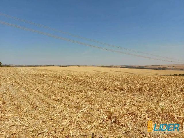 Sítio e chácara venda em Região Geográfica Imediata de Luziânia, Região Integrada de Desenvolvimento do Distrito Federal e Entorno