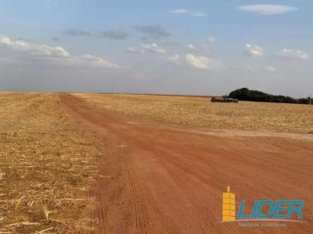 Sítio e chácara venda em Região Geográfica Imediata de Luziânia, Região Integrada de Desenvolvimento do Distrito Federal e Entorno