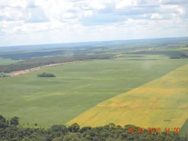 Sítio e chácara venda em Região Geográfica Imediata de Luziânia, Região Integrada de Desenvolvimento do Distrito Federal e Entorno