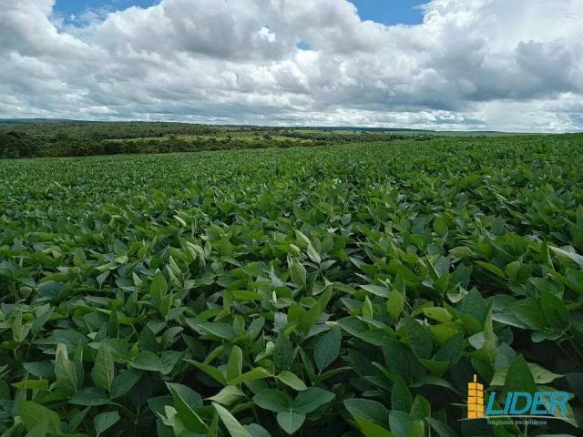 Sítio e chácara venda em Cristalina, Região Geográfica Intermediária de Luziânia-Águas Lindas de Goiás