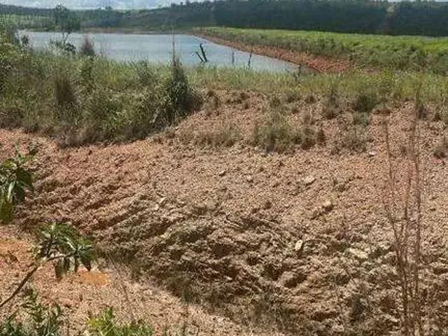 Sítio e chácara venda em Região Geográfica Imediata de Luziânia, Região Integrada de Desenvolvimento do Distrito Federal e Entorno