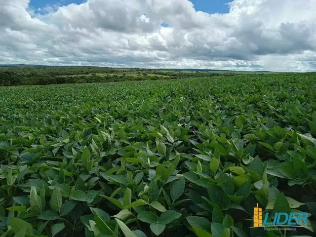 Sítio e chácara venda em Região Geográfica Imediata de Luziânia, Região Integrada de Desenvolvimento do Distrito Federal e Entorno