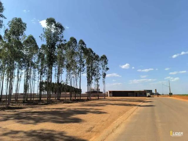 Sítio e chácara venda em Região Geográfica Imediata de Luziânia, Região Integrada de Desenvolvimento do Distrito Federal e Entorno