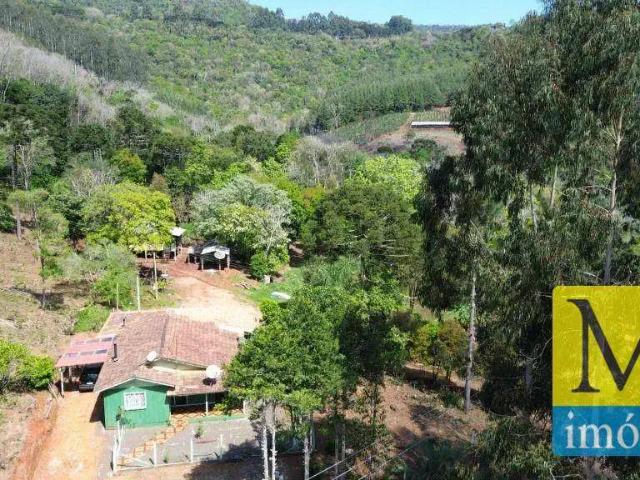Sítio e chácara venda em Região Geográfica Imediata de Guarapuava, Inácio Martins