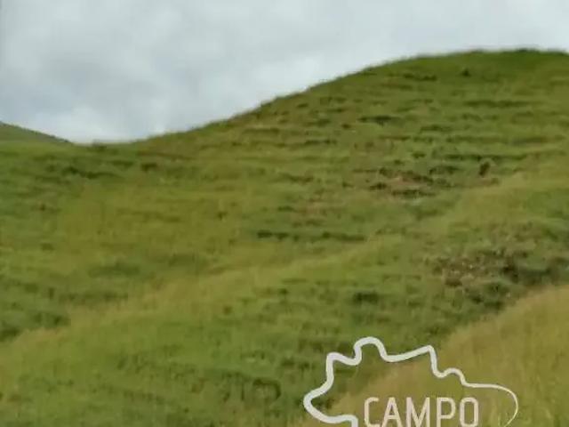 Sítio e chácara venda em Região Imediata de Cruzeiro, Região Metropolitana do Vale do Paraíba e Litoral Norte