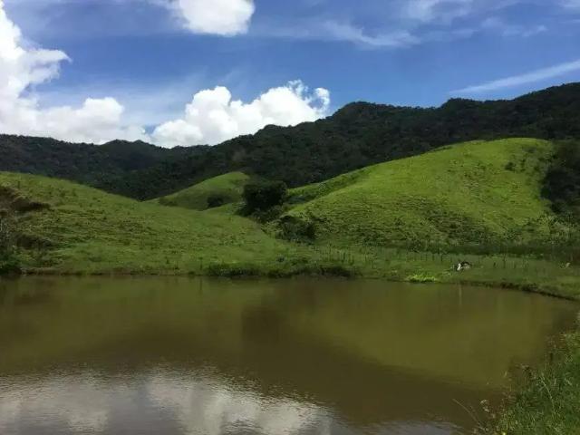 Sítio e chácara venda em Região Imediata de Cruzeiro, Região Metropolitana do Vale do Paraíba e Litoral Norte
