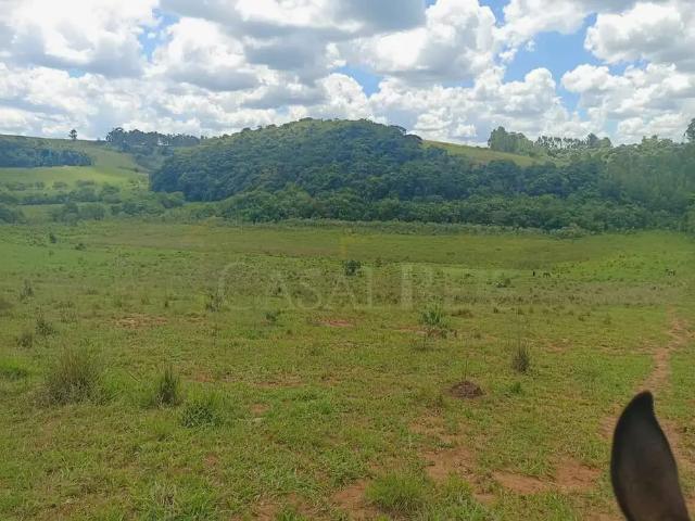 Sítio e chácara venda em Região Geográfica Imediata de Caxambu - Baependi, Cruzília