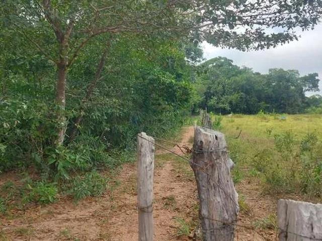 Sítio e chácara venda em Baú, Cuiabá